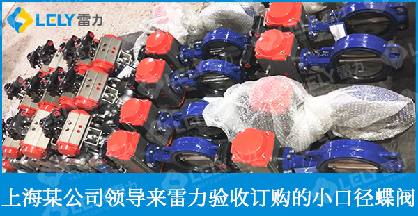 熱烈歡迎上海領(lǐng)導(dǎo)蒞臨雷力閥門指導(dǎo)并驗(yàn)貨