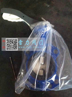 1.4529\2507型脫硝蝶閥