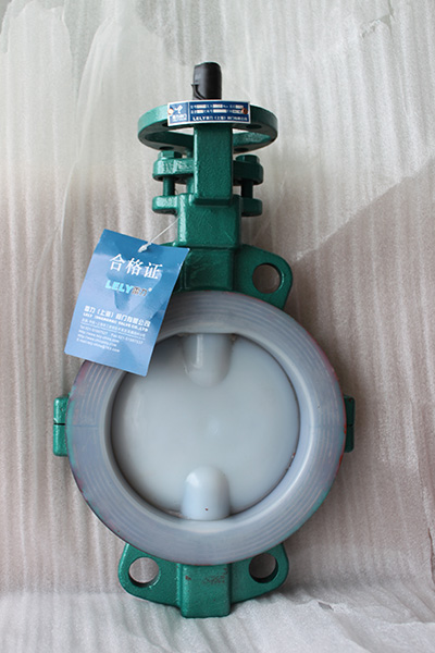 D71F46全襯氟蝶閥