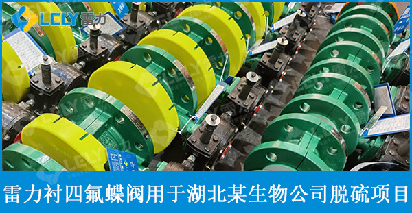 雷力襯四氟蝶閥應(yīng)用于湖北某生物公司脫硫項(xiàng)目