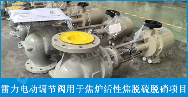 雷力小流量調(diào)節(jié)閥在某能源公司焦爐煙氣備用活性焦脫硫脫硝項目