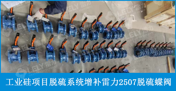 【增補】年產(chǎn)十五萬噸工業(yè)硅項目脫硫系統(tǒng)增補雷力2507脫硫蝶閥