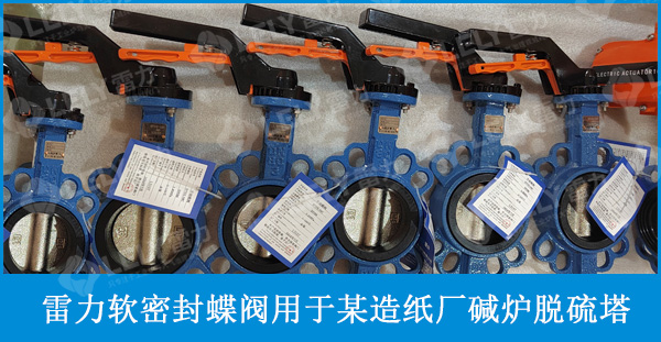 雷力軟密封蝶閥用于某造紙廠堿爐脫硫塔、濕電焚燒爐堿洗塔系統(tǒng)
