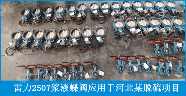雷力2507漿液蝶閥應(yīng)用于河北某脫硫項目